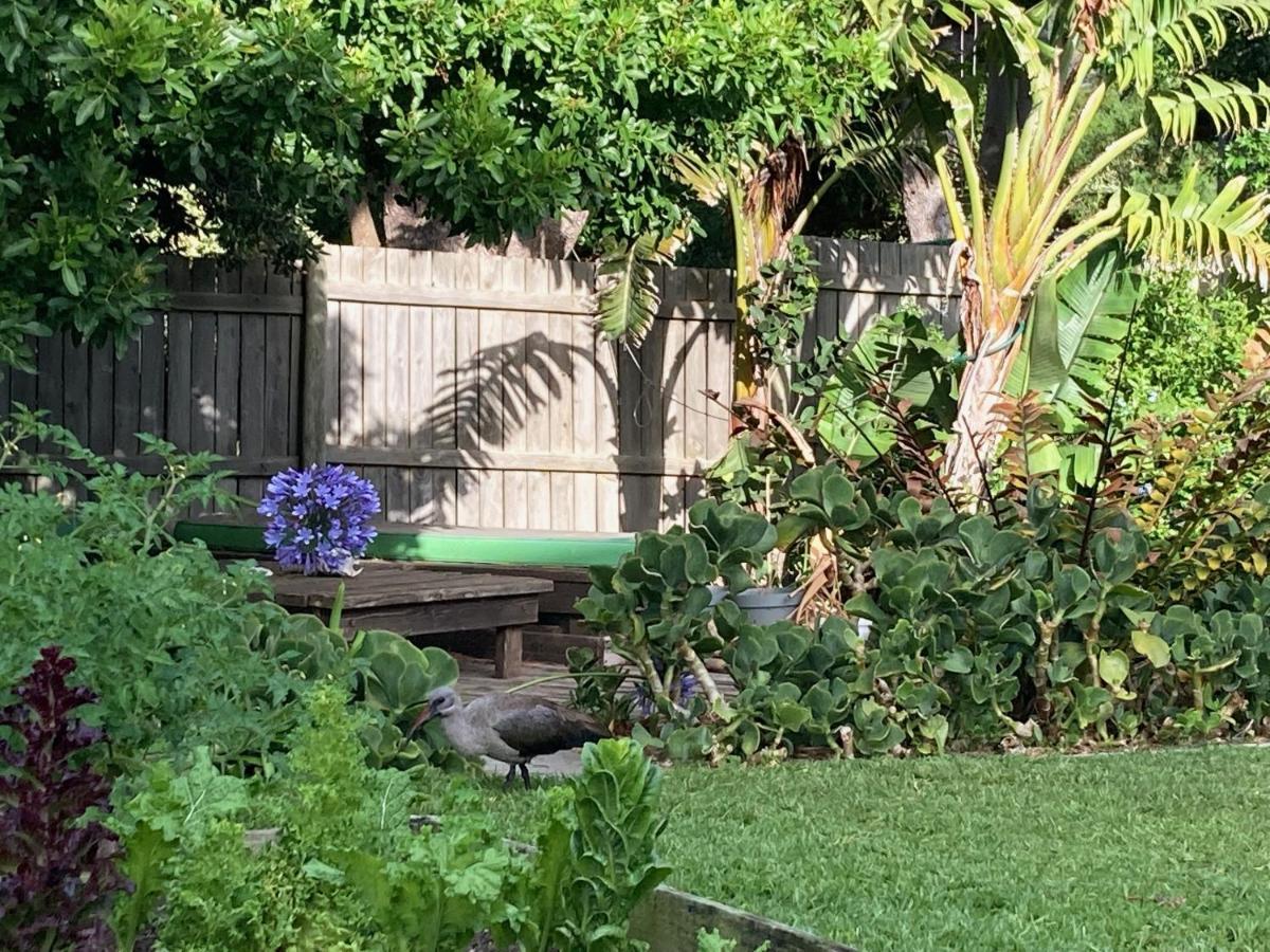 Selkie - Two Restful Near & Restaurants *